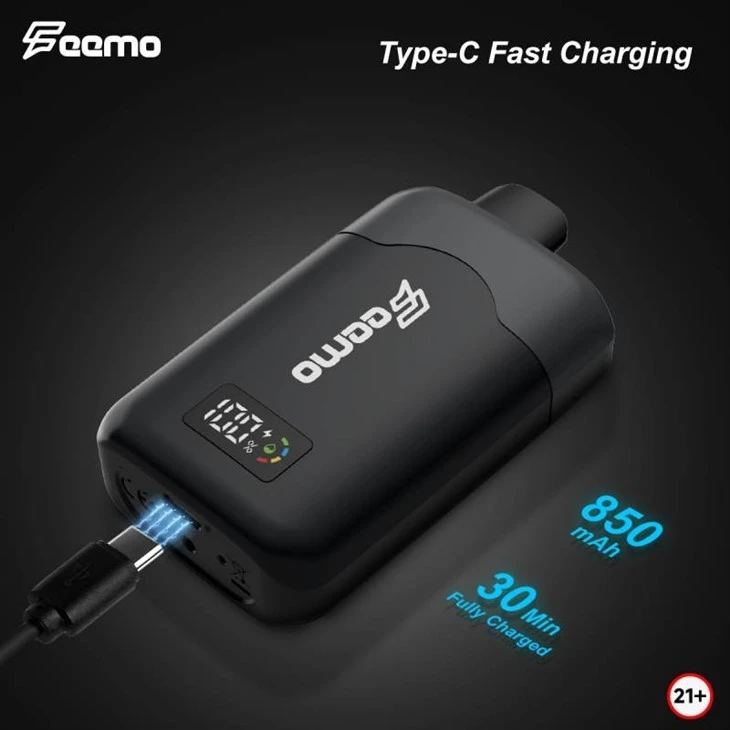 Feemo Gemini Pro 28000 Puffs Dual Flavor
