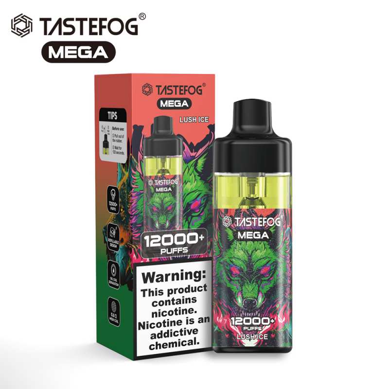 Tastefog Mega 12K Puff