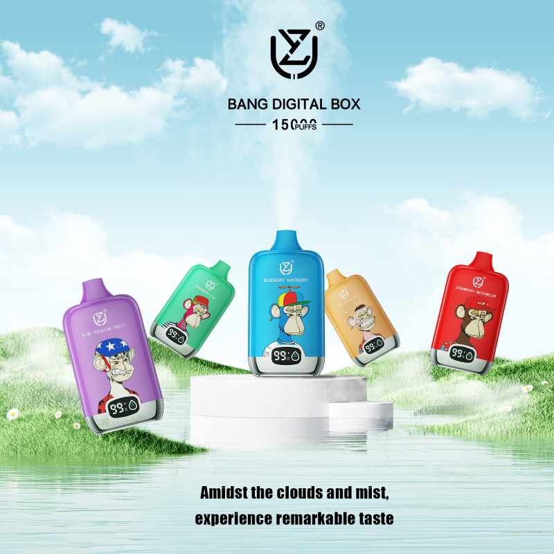 Uzy Bang Digital Box 15000 Puffs